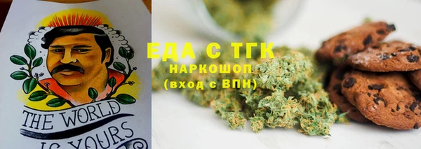 индика Арсеньев