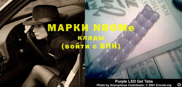 индика Арсеньев