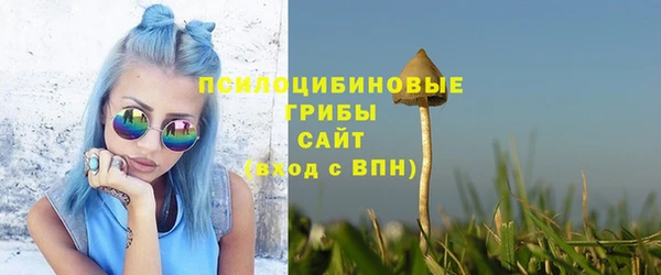 винт Сосновый Бор