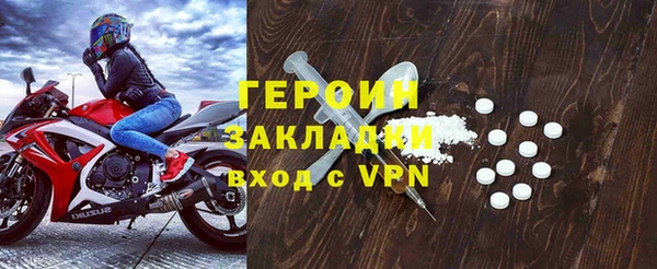 индика Арсеньев