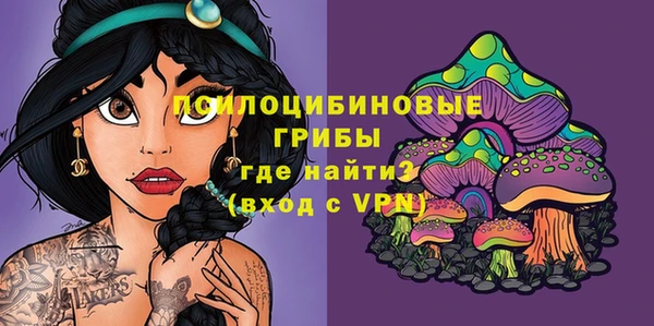 спиды Аркадак