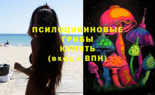 спиды Аркадак