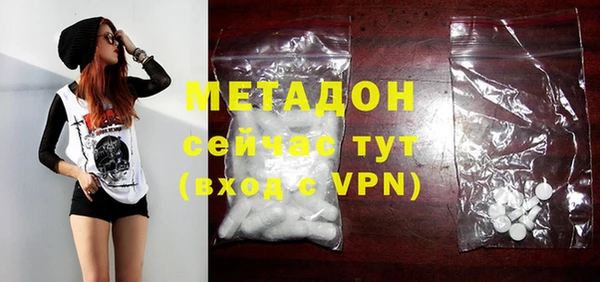 индика Арсеньев