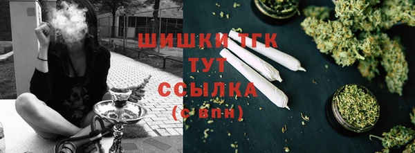 индика Арсеньев